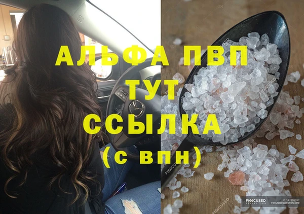 индика Новодвинск