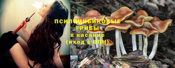 не бодяженный Абдулино